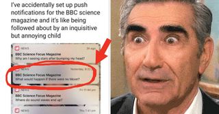 I Personally Guarantee You Won't Be Able To Keep A Straight Face While Looking At These 31 Pictures That Are Impossible Not To Laugh At - BuzzFeed